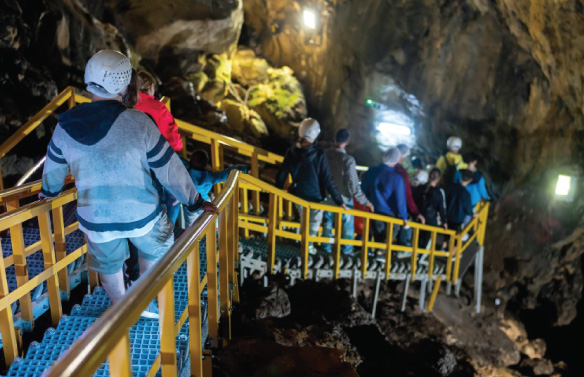 From resource to market